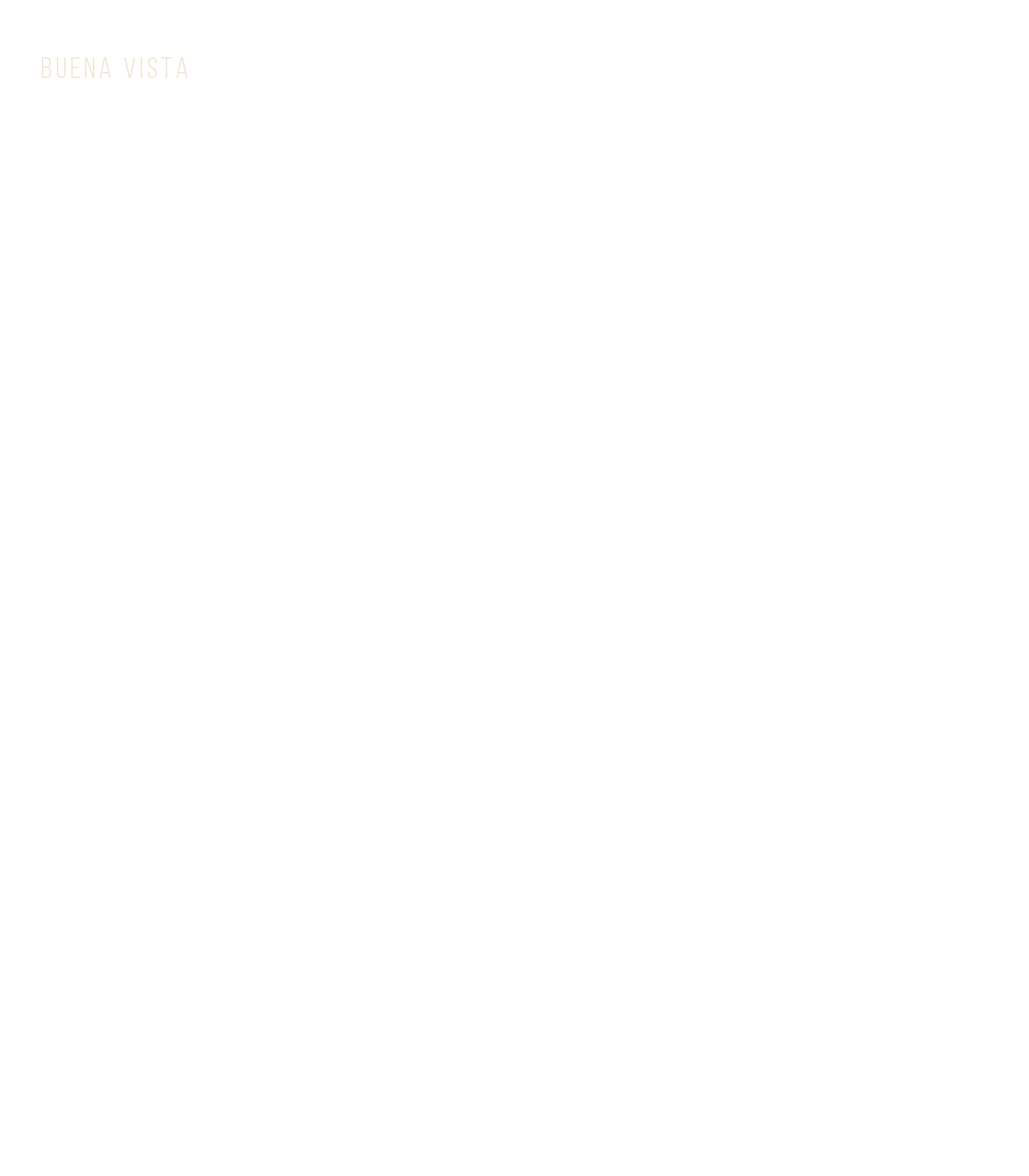 Polaroid Overlay
